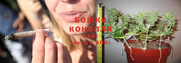 PSILOCYBIN Арсеньев