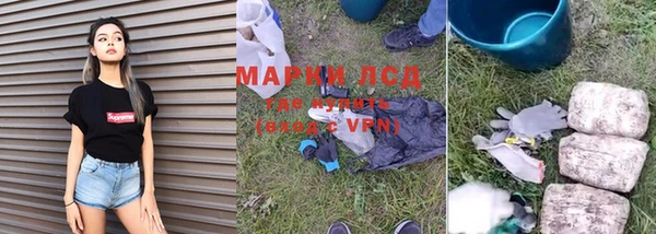 PSILOCYBIN Арсеньев